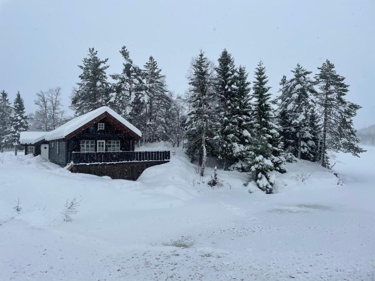 With Sauna Close To Kjeragbolten Vakantiehuis *